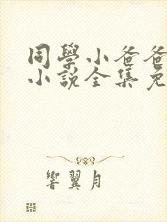 同学小爸爸李凯小说全集免费阅读