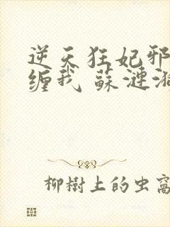 逆天狂妃邪王别缠我 苏涟漪