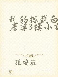我的总裁白富美老婆3楼小说免费版