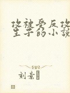 攻被受反攻最后生子的小说