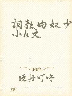 调教肉奴少司缘小h文