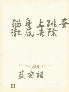 猫身上跳蚤怎么彻底去除