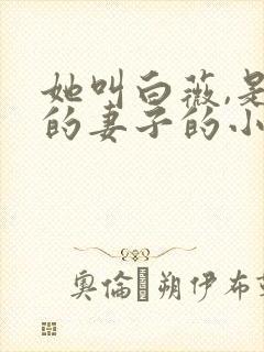 她叫白薇,是我的妻子的小说免费阅读封面