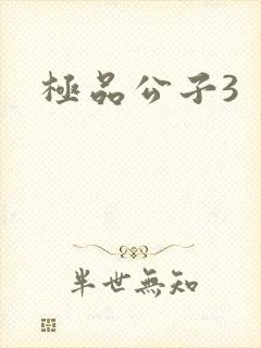 极品公子3