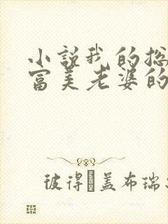 小说我的总裁白富美老婆的免费阅读