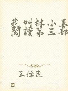 我叫林小喜全文阅读第三部