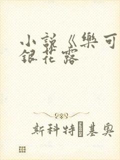 小说《乐可》金银花露封面