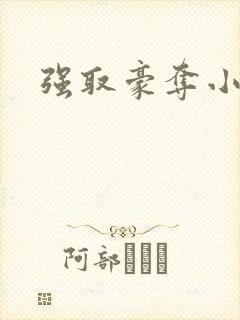 强取豪夺小说