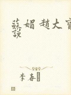 苏媚 赵大宝小说