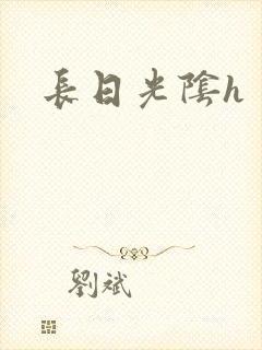 长日光阴h封面