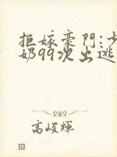 拒嫁豪门:少奶奶99次出逃多少字