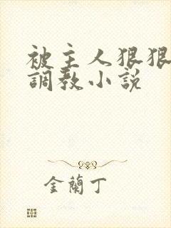 被主人狠狠惩罚调教小说