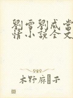 刘雪刘成当代爱情小说全文免费无弹窗阅读