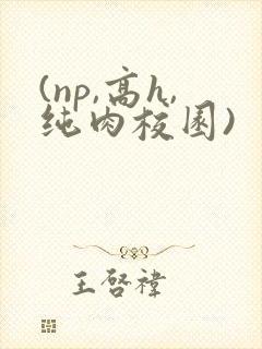 (np,高h,纯肉校园)
