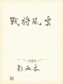 战将风云封面