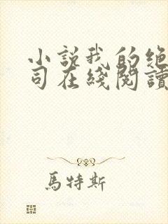 小说我的绝美上司在线阅读全文封面