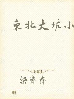 东北大坑小说
