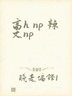 高h np 辣文np