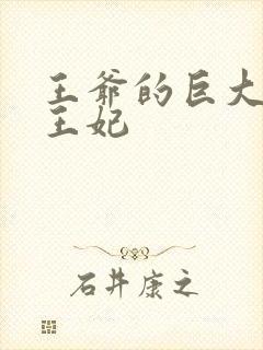 王爷的巨大进入王妃封面
