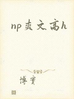 np爽文高h