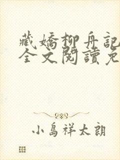 藏娇柳舟记小说全文阅读免费