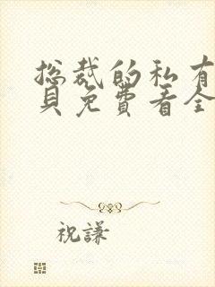 总裁的私有小宝贝免费看全文