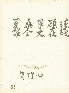 夏桑宁顾瑾琛小说全文在线阅读封面
