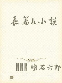 长篇h小说封面