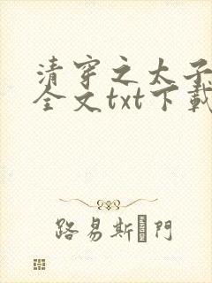 清穿之太子娇妃全文txt下载封面