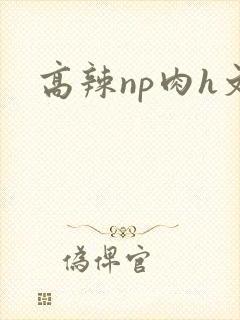 高辣np肉h文