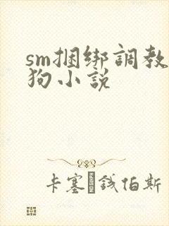 sm捆绑调教母狗小说封面
