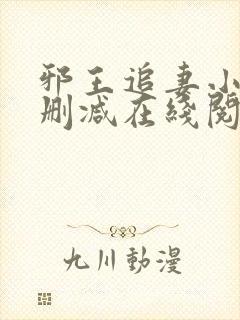 邪王追妻小说无删减在线阅读