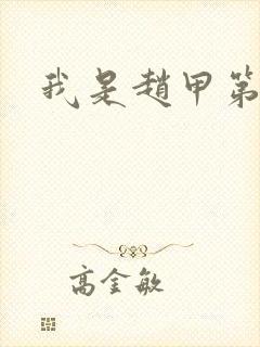 我是赵甲第小说
