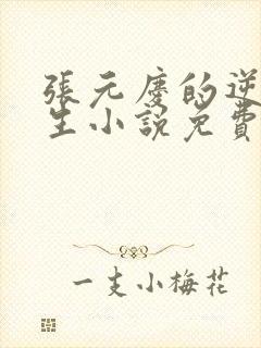 张元庆的逆袭人生小说免费阅读封面
