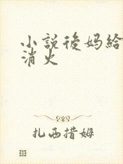 小说后妈给我消消火封面