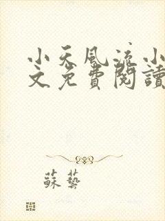 小天风流小说全文免费阅读无弹窗