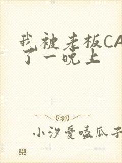 我被老板CAO了一晚上