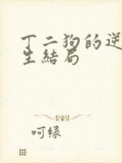 丁二狗的逆袭人生结局