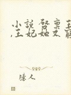 小说 启禀王爷,王妃她又穷疯了封面