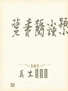 蒋老板小颖全文免费阅读小说下载