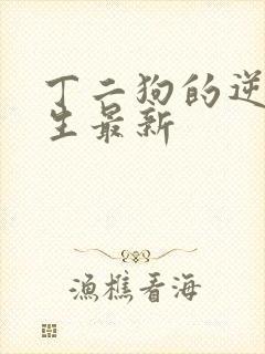 丁二狗的逆袭人生最新
