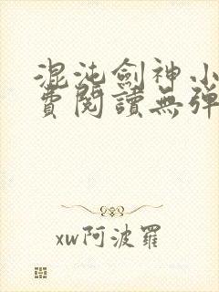 混沌剑神小说免费阅读无弹窗封面