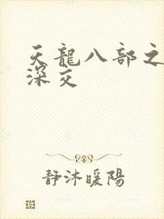 天龙八部之极乐深交