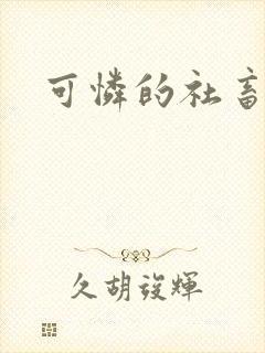 可怜的社畜