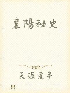 襄阳秘史封面