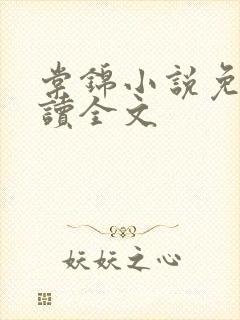 棠锦小说免费阅读全文封面