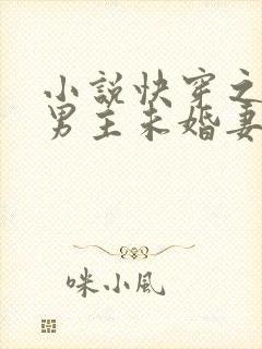 小说快穿之我是男主未婚妻txt