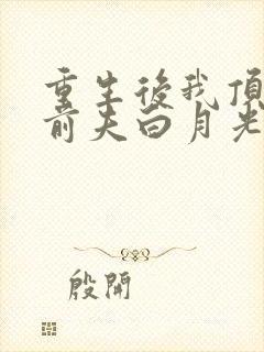 重生后我顶替了前夫白月光完本