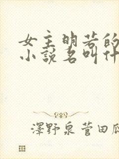 女主明若的穿越小说名叫什么