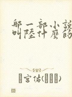 哪一部小说主角叫陆什么的